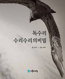 독수리 수리수리의 비밀