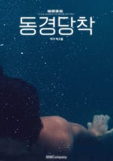 동경당착 표지 이미지