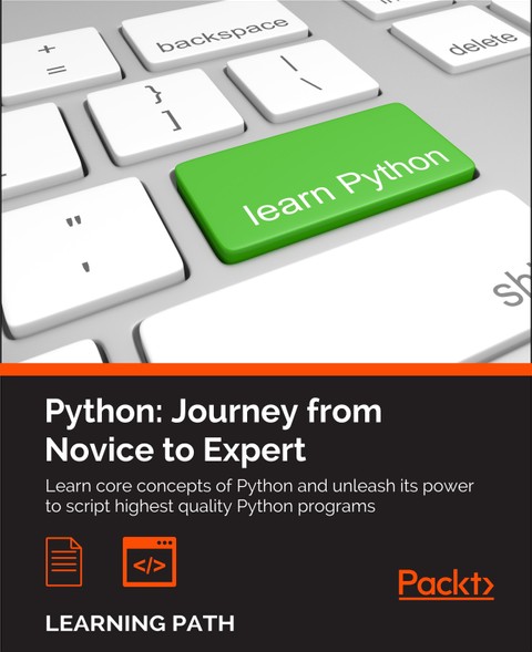 [체험판] Python: Journey from Novice to Expert 표지 이미지