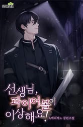 선생님, 파이어볼이 이상해요! 표지 이미지