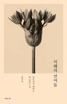 지혜의 언어들