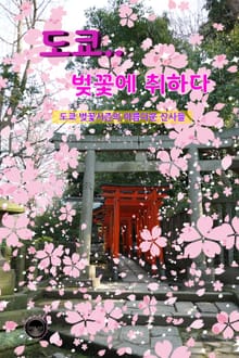 도쿄.. 벚꽃에 취하다