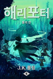 개정 번역판 | 해리 포터와 불의 잔