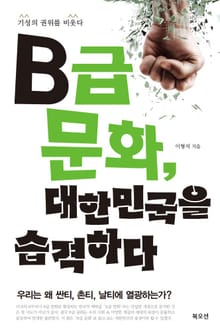 B급 문화, 대한민국을 습격하다