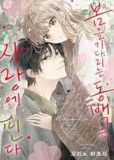 봄을 기다리는 동백은 사랑에 핀다 표지 이미지