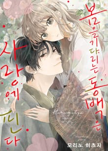 봄을 기다리는 동백은 사랑에 핀다