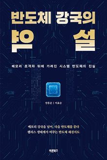 반도체 강국의 역설