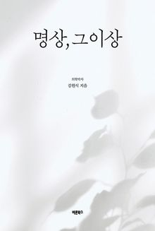 명상, 그 이상