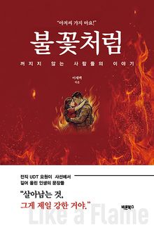 불꽃처럼