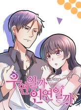 우연일까, 인연일까 표지 이미지