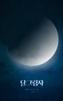 달그림자