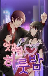 엇갈린 하룻밤 표지 이미지