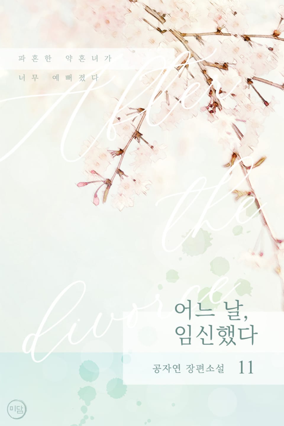 어느 날, 임신했다 11권