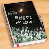 태산공도식단상집3권 하늘별 표지 이미지