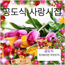 1992년도 공도열사랑시집