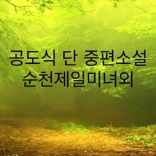 순천제일미녀외(중단편소설모음)