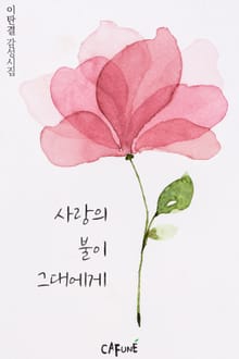 사랑의 불이 그대에게