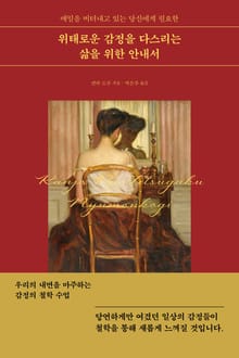 위태로운 감정을 다스리는 삶을 위한 안내서