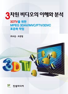 3차원 비디오의 이해와 분석