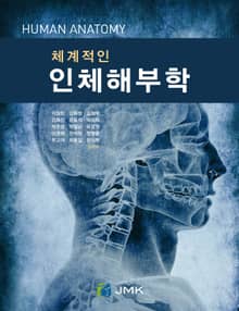 체계적인 인체해부학