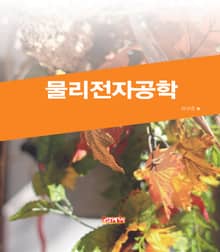 물리전자공학