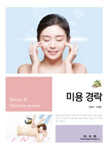 미용 경락