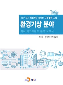 환경기상 분야 특허 메가트렌드 분석 보고서 2017