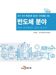 반도체 분야 특허 메가트렌드 분석 보고서 2017