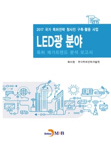 LED광 분야 특허 메가트렌드 분석 보고서 2017