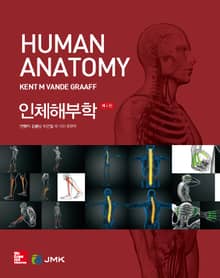 인체해부학 4판