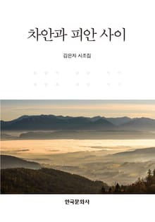 차안과 피안 사이