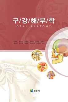 구강해부학