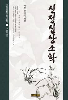 신정심상소학