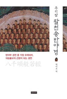 우리말 팔천송반야경