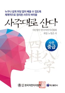사주대로 산다: 사주 중급