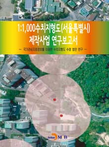 1:1,000수치지형도(서울특별시) 제작사업 연구보고서