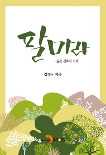팔미라 : 깊은 산속의 기적
