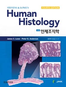 인체조직학