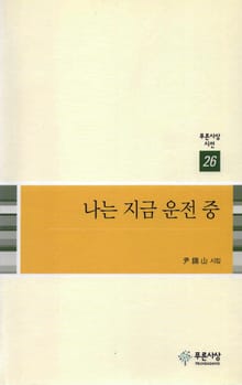 나는 지금 운전 중