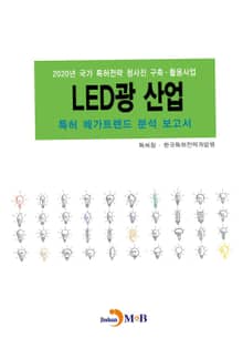 LED광 산업 특허 메가트렌드 분석 보고서(2020)