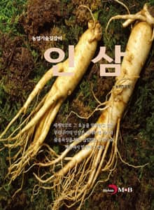 농업기술길잡이 인삼