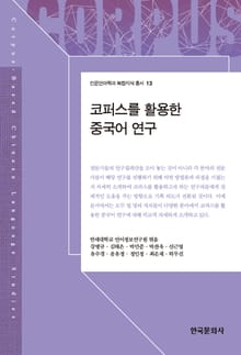 코퍼스를 활용한 중국어 연구