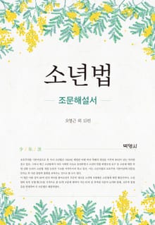 소년법 (조문해설서)