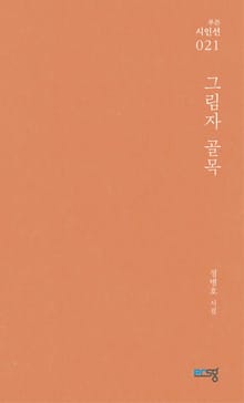 그림자 골목