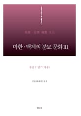 마한·백제의 분묘 문화Ⅲ - 충남Ⅰ:연기(세종) 표지 이미지
