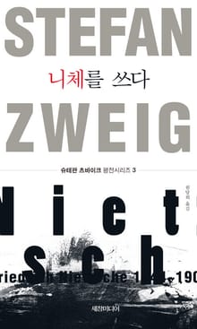 니체를 쓰다