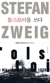 톨스토이를 쓰다 표지 이미지