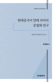 현대중국어 양태 의미의 문법화 연구