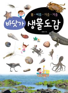 봄·여름·가을·겨울 바닷가생물도감