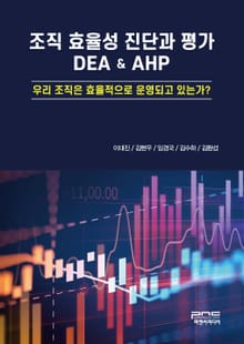 조직 효율성 진단과 평가 DEA AHP (우리 조직은 효율적으로 운영되고 있는가?)